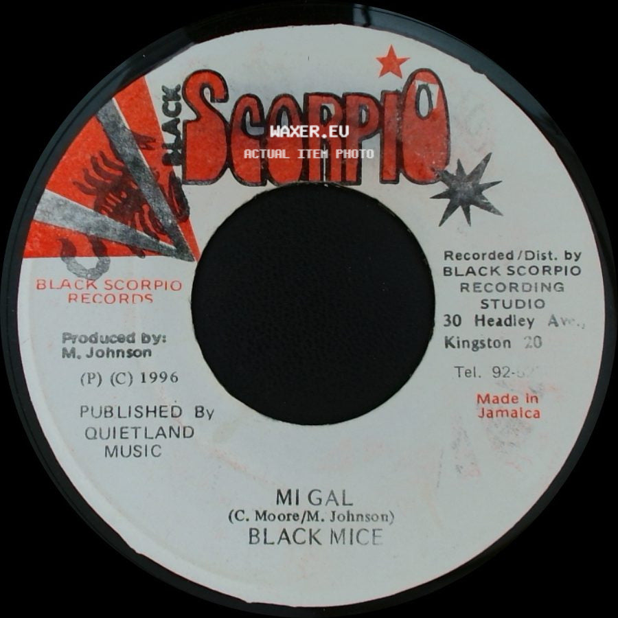 Doni Marshall / Black Mice - Virgin Rythm / Mi Gal side B