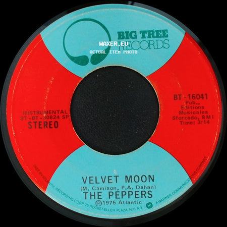 The Peppers - Doctor's Music / Velvet Moon side B