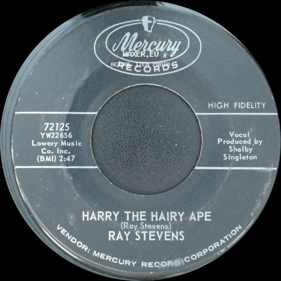 Ray Stevens - Little Stone Statue / Harry The Hairy Ape side B