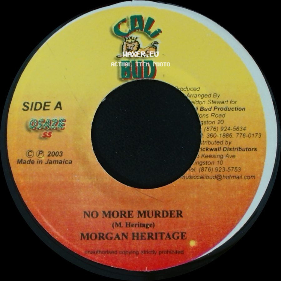 Morgan Heritage / Pinchers / Hot Shot Squad - No More Murder / Dance Hall Vibes side A