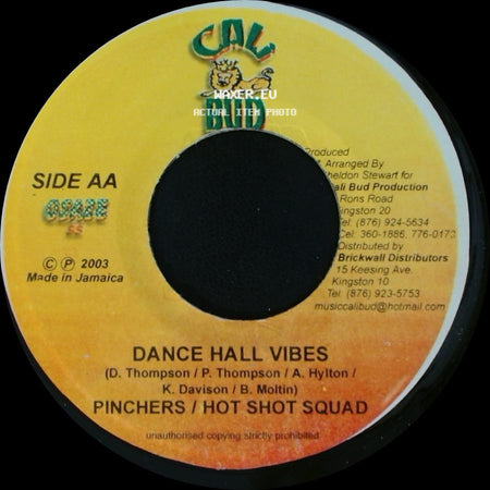 Morgan Heritage / Pinchers / Hot Shot Squad - No More Murder / Dance Hall Vibes side B