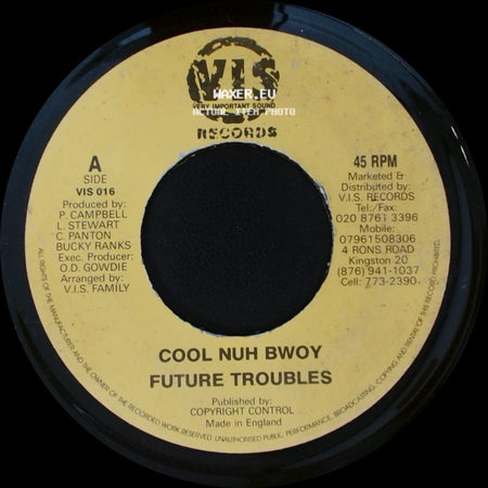 Bucky Ranks / Jazzwad - Cool Nuh Bwoy Future Troubles / Version - Gremlin 2010 side A