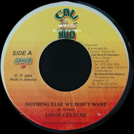 Louie Culture / Kip Rich - Nothing Else We Don't Want / Good People A Plea side A