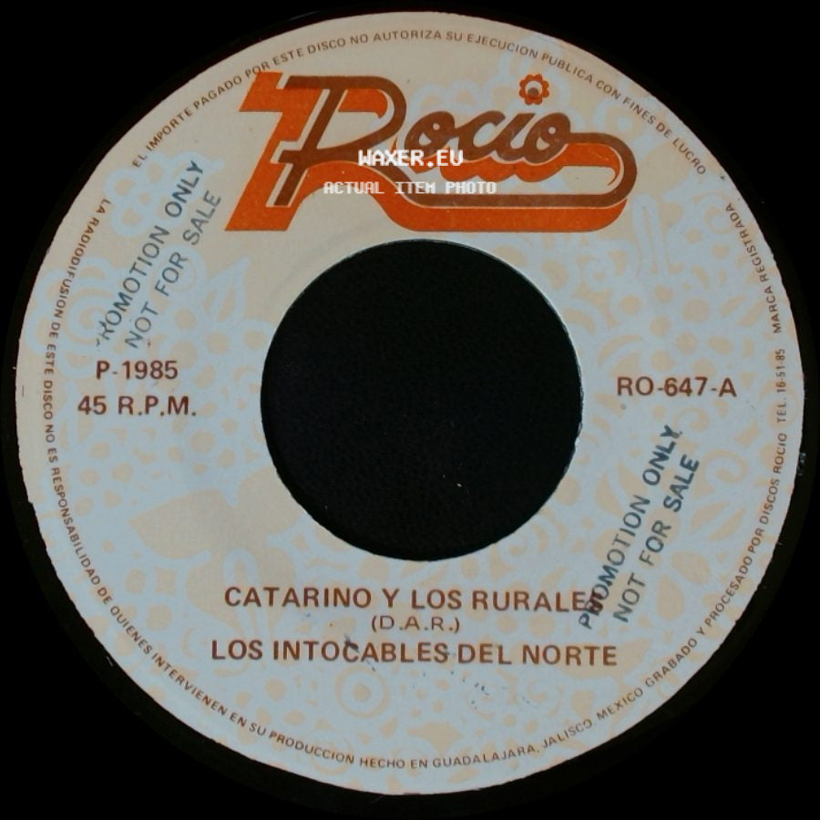 Catarino Y Los Rurales / Los Intocables Del Norte - Los Intocables Del Norte / La Florecita side A