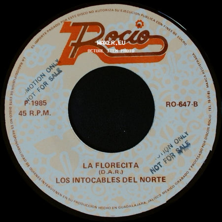 Catarino Y Los Rurales / Los Intocables Del Norte - Los Intocables Del Norte / La Florecita side B