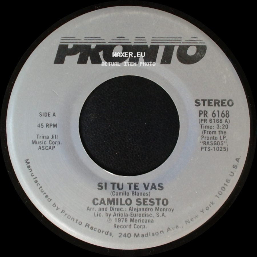 Camilo Sesto - Si Tu Te Vas / Estoy Desnudo side A