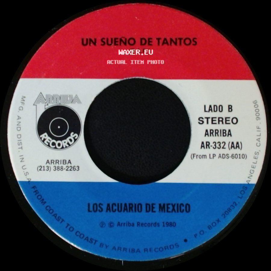 Los Acuario De Mexico - Lo Que Me Preocupa De Ti / Un Sueno De Tantos side B
