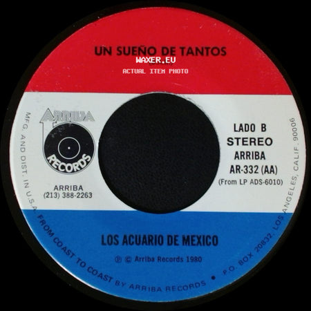 Los Acuario De Mexico - Lo Que Me Preocupa De Ti / Un Sueño De Tantos side B