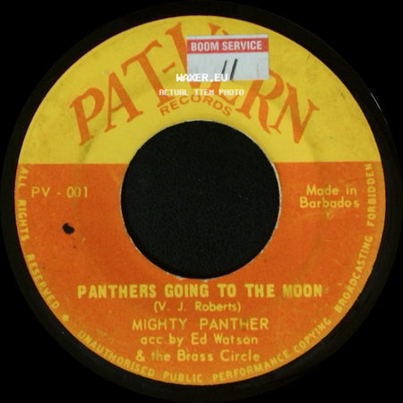 Mighty Panther - Panthers Going To The Moon / My Travels side A