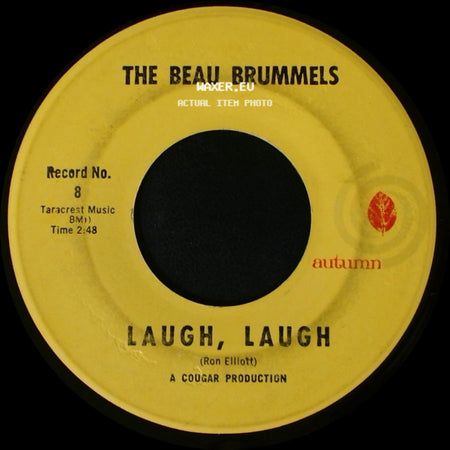 The Beau Brummels - Laugh, Laugh / Still In Love With You Baby side A