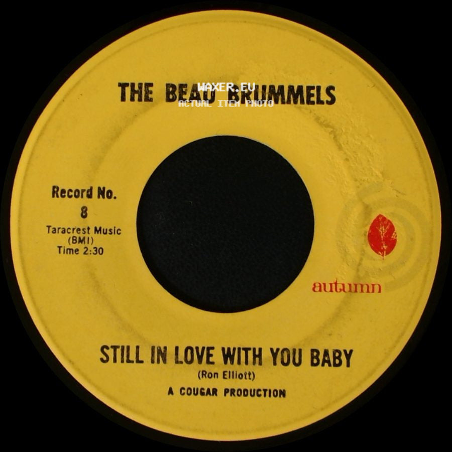 The Beau Brummels - Laugh, Laugh / Still In Love With You Baby side B