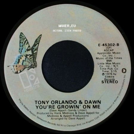 Tony Orlando & Dawn - Cupid / You're Growin' On Me side B