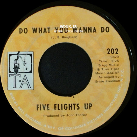 Five Flights Up - Black Cat / Do What You Wanna Do side B