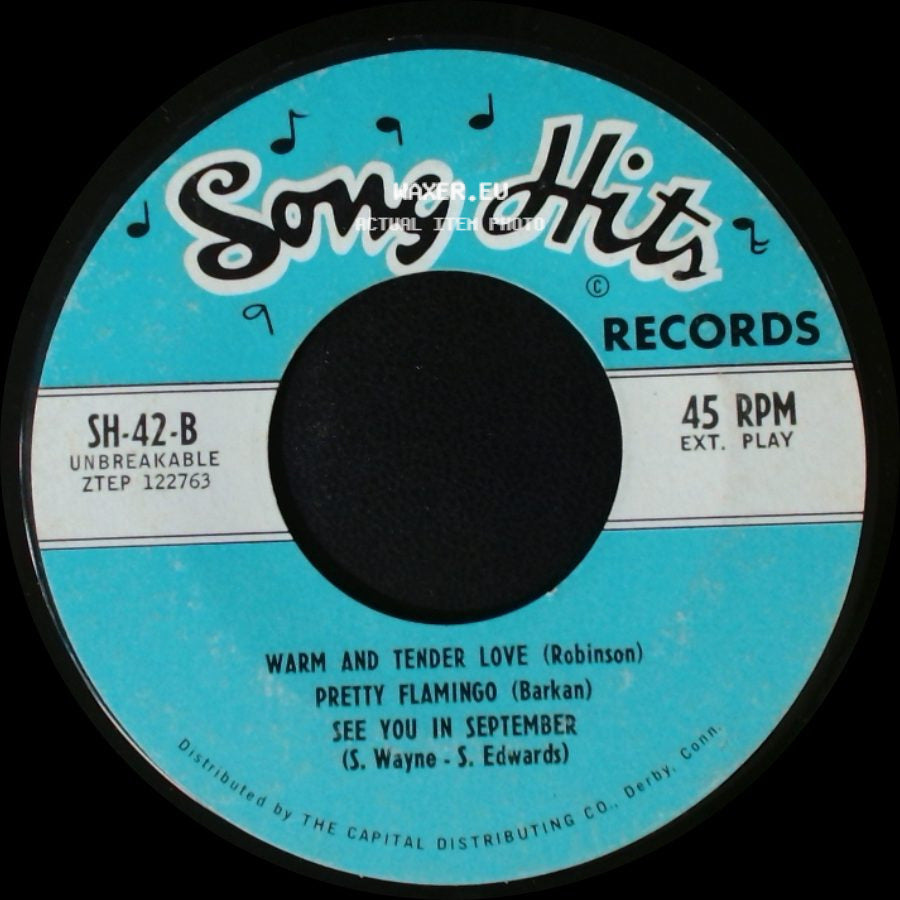 Unknown Artist - Summer In The City / I Couldn't Live Without Your Love / Blowin' In The Wind / Warm And Tender Love / Pretty Flamingo / See You In September side B