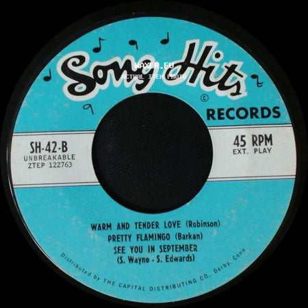 Unknown Artist - Summer In The City / I Couldn't Live Without Your Love / Blowin' In The Wind / Warm And Tender Love / Pretty Flamingo / See You In September side B
