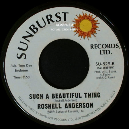 Roshell Anderson - Grapevine Will Lie Sometimes / Such A Beautiful Thing side B