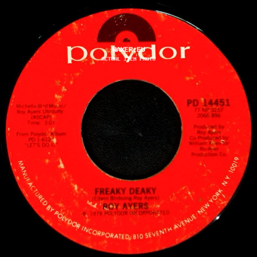 Roy Ayers - You Came Into My Life / Freaky Deaky side B