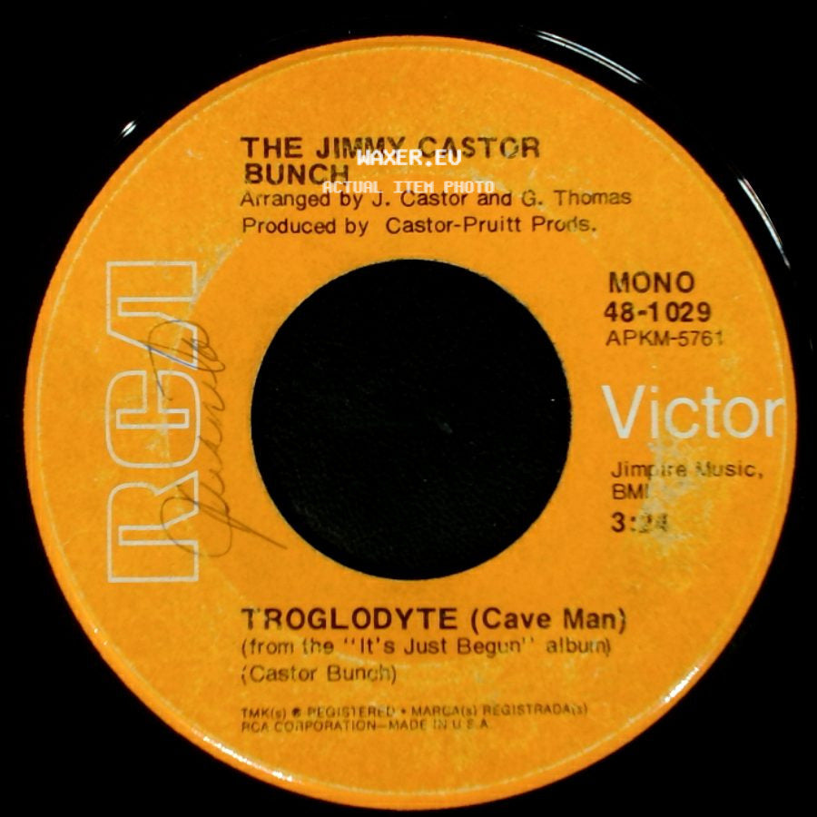 The Jimmy Castor Bunch - I Promise To Remember / Troglodyte (Cave Man) side B