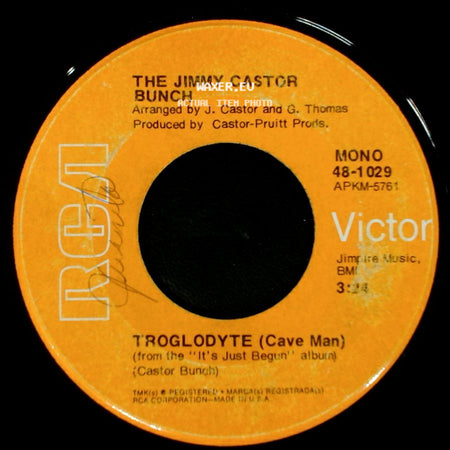 The Jimmy Castor Bunch - I Promise To Remember / Troglodyte (Cave Man) side B