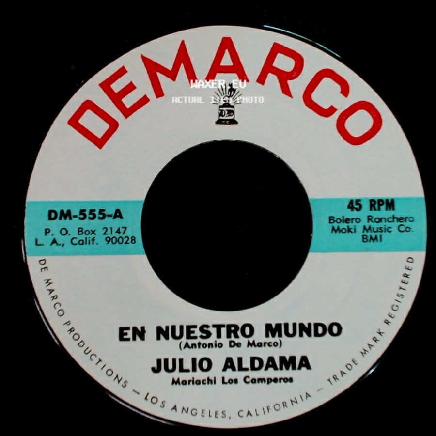 Julio Aldama - El Ave Canta / En Nuestro Mundo side B