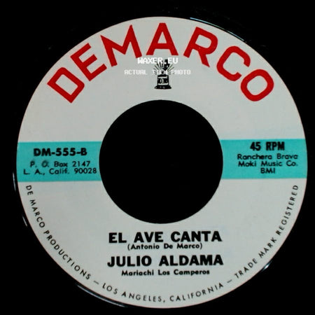 Julio Aldama - El Ave Canta / En Nuestro Mundo side A