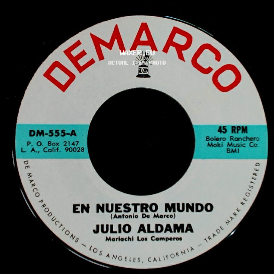 Julio Aldama - El Ave Canta / En Nuestro Mundo side B