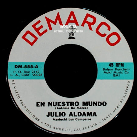 Julio Aldama - El Ave Canta / En Nuestro Mundo side B