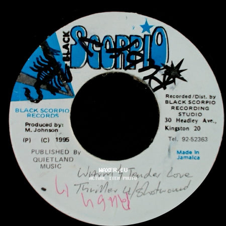 Unknown Artist - Unknown Title A / Warm & Tender Love / Thriller side B