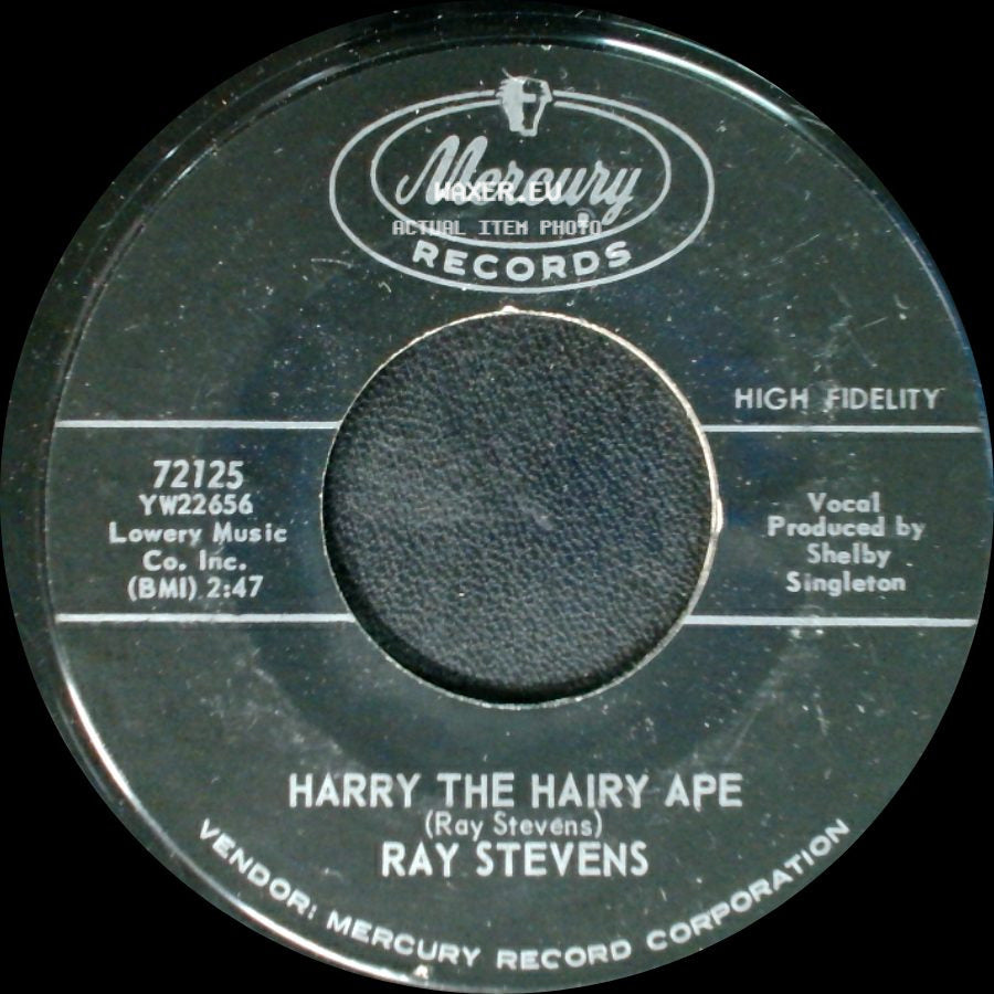 Ray Stevens - Harry The Hairy Ape / Little Stone Statue side A