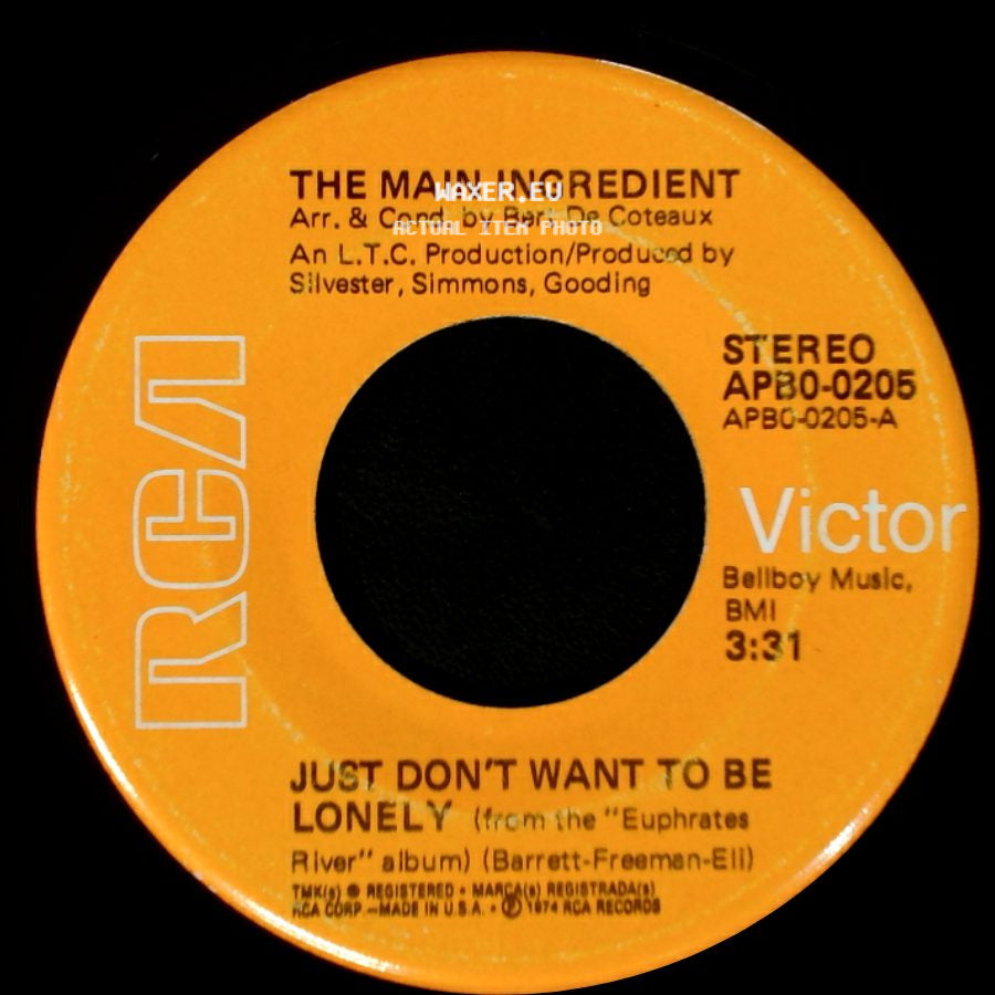 The Main Ingredient - Goodbye My Love / Just Don't Want To Be Lonely side B