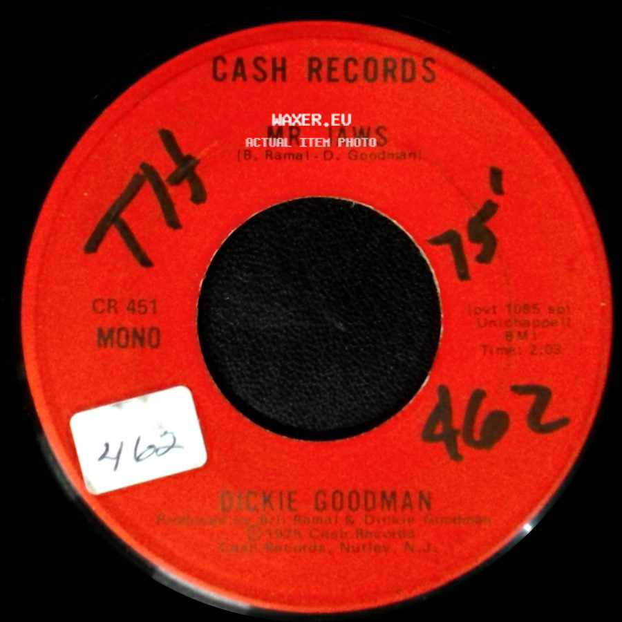 Dickie Goodman - Irv's Theme / Mr Jaws side B