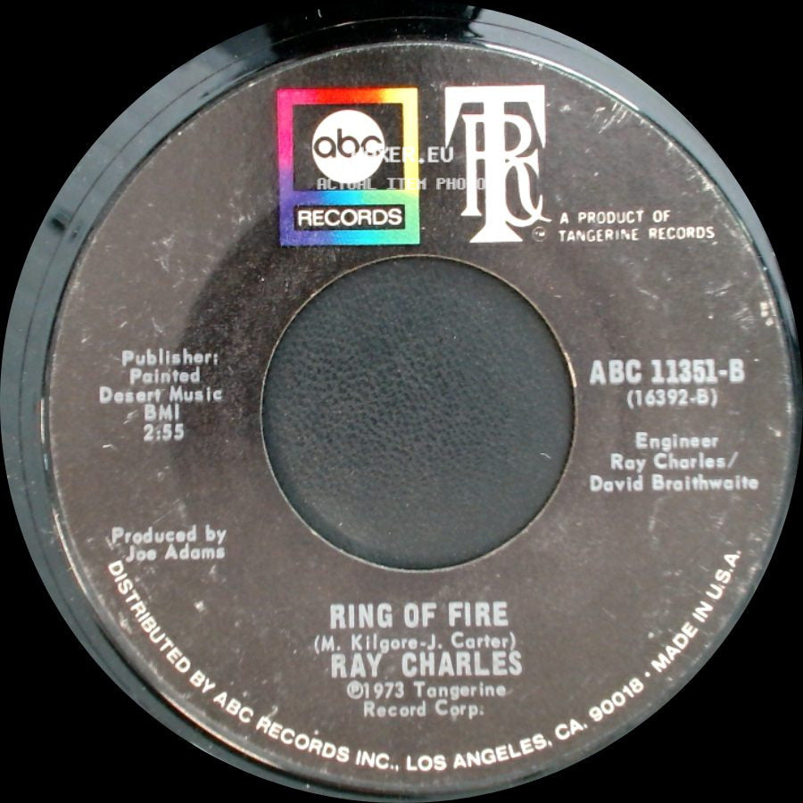 Ray Charles - I Can Make It Thru The Days (But Oh Those Lonely Nights) / Ring Of Fire side B