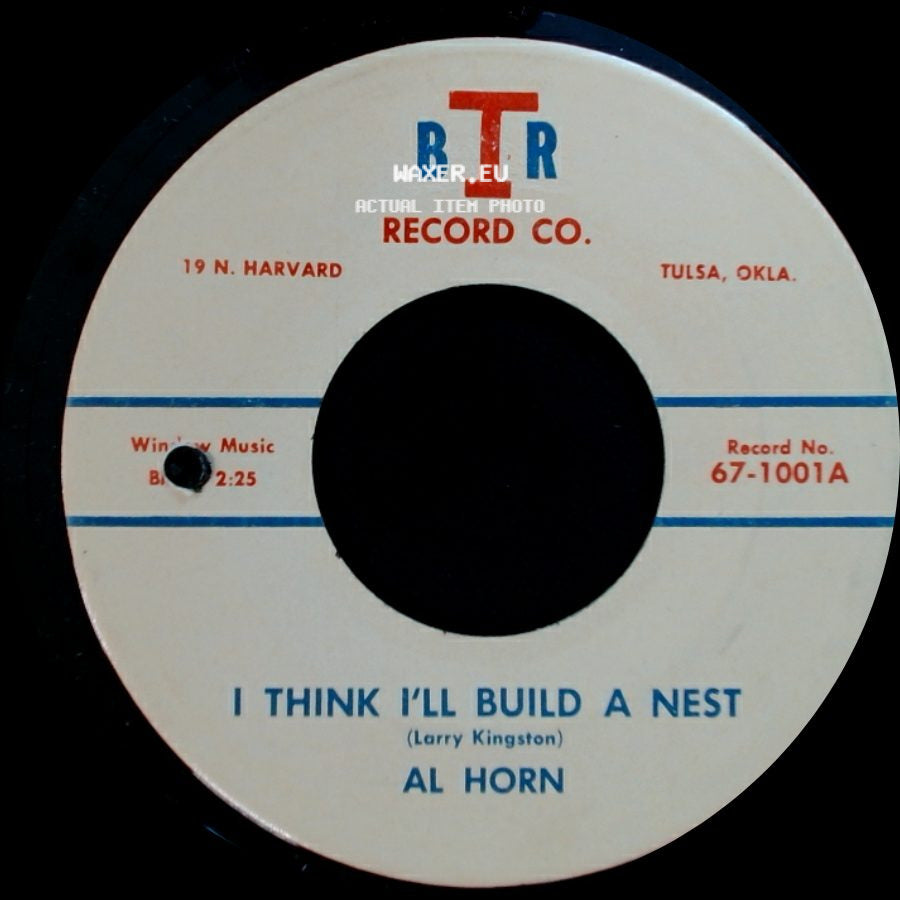 Al Horn - I Think I'll Build A Nest / Since Never side A