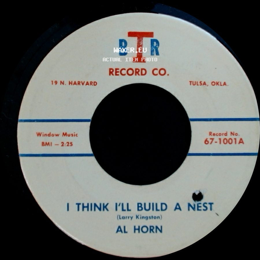 Al Horn - Since Never / I Think I'll Build A Nest side B