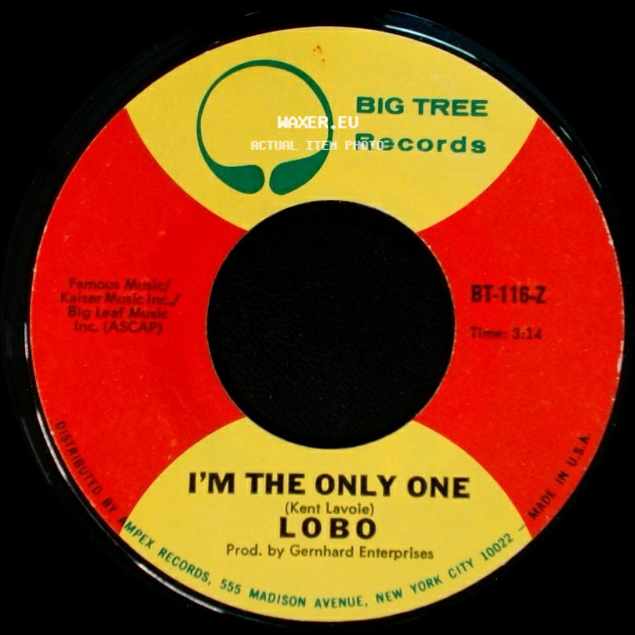 Lobo - I'm The Only One / She Didn't Do Magic side A