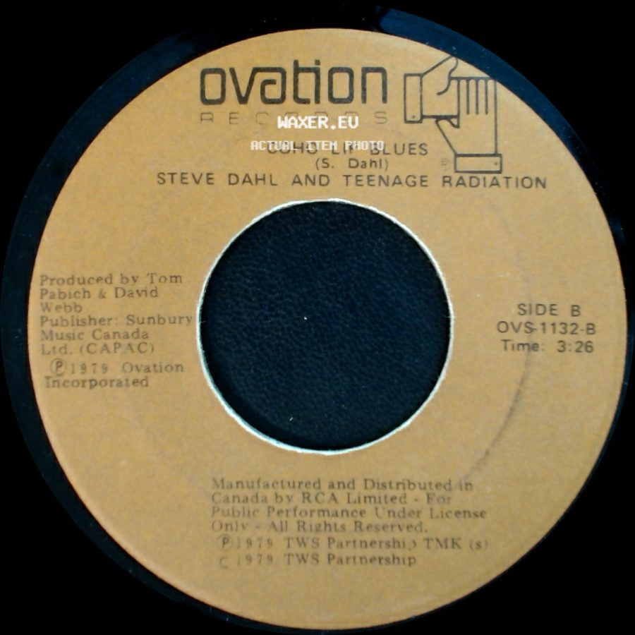 Steve Dahl And Teenage Radiation - Do You Think I'm Disco? / Coho Lip Blues side B