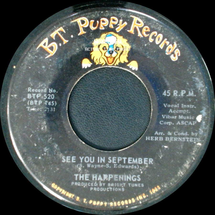 The Happenings - He Thinks He's A Hero / See You In September side B