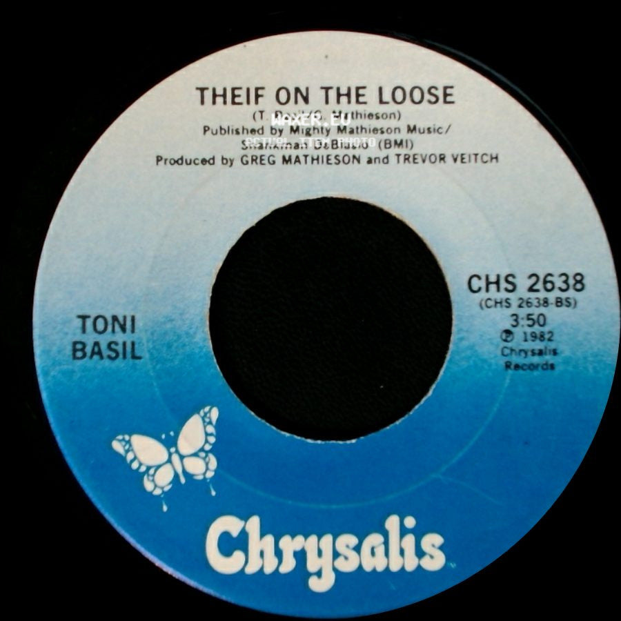 Toni Basil - Mickey / Theif On The Loose side B