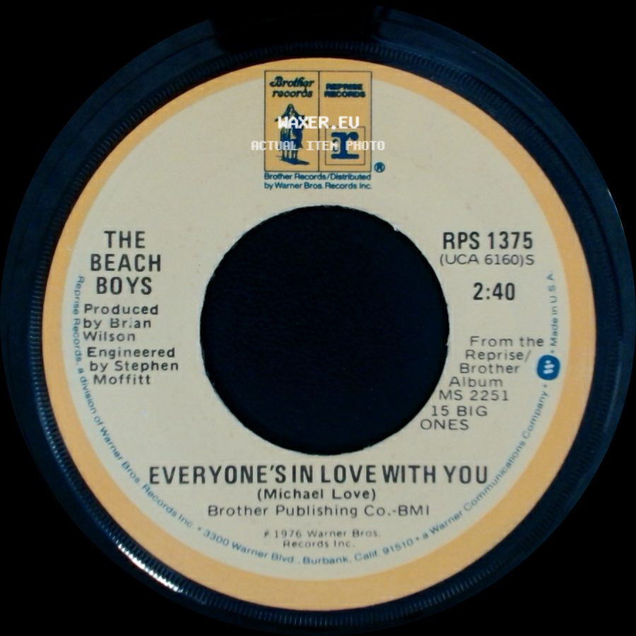The Beach Boys - Susie Cincinnati / Everyone's In Love With You side B
