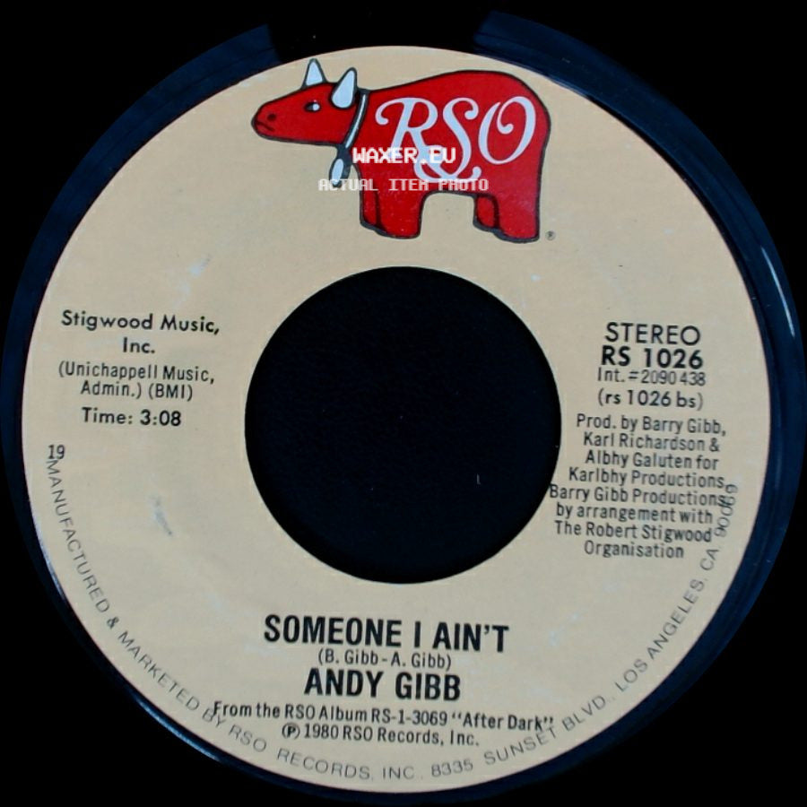 Andy Gibb / Andy Gibb & Olivia Newton-John - Someone I Ain't / I Can't Help It side A