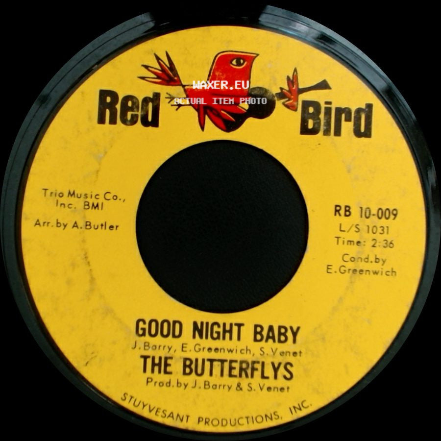 The Butterflys - Good Night Baby / The Swim side A