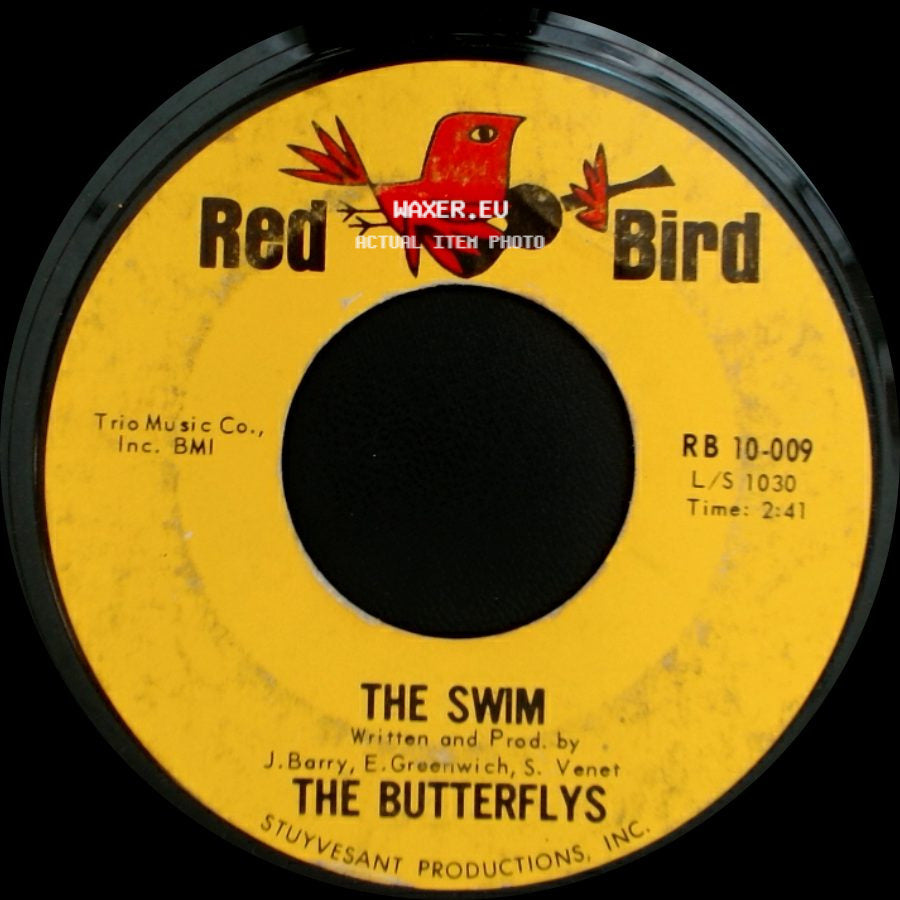 The Butterflys - Good Night Baby / The Swim side B