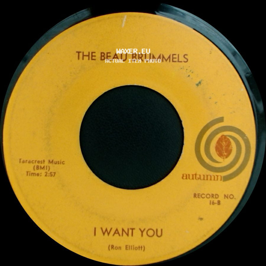 The Beau Brummels - I Want You / You Tell Me Why side A