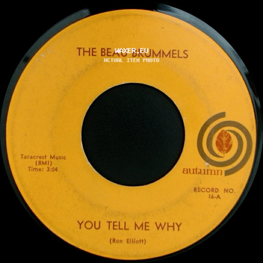 The Beau Brummels - I Want You / You Tell Me Why side B