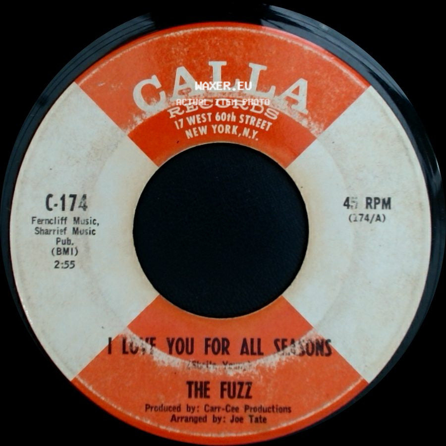 The Fuzz - I Love You For All Seasons / I Love You For All Seasons (Instrumental) side A