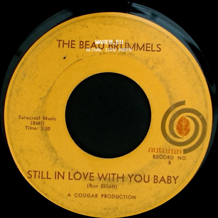 The Beau Brummels - Still In Love With You Baby / Laugh, Laugh side A