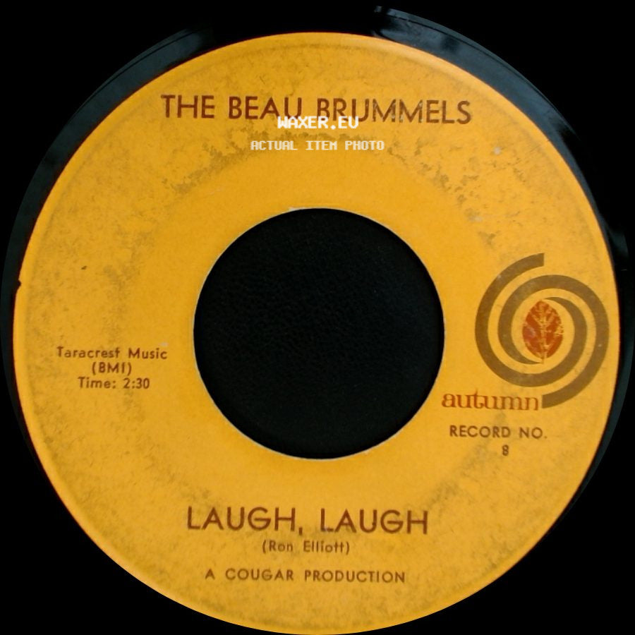 The Beau Brummels - Still In Love With You Baby / Laugh, Laugh side B