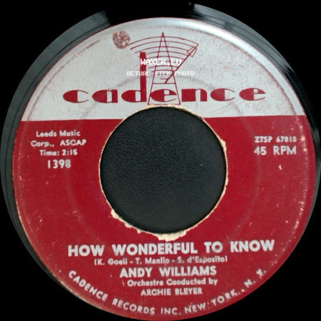 Andy Williams - How Wonderful To Know / The Bilbao Song side A