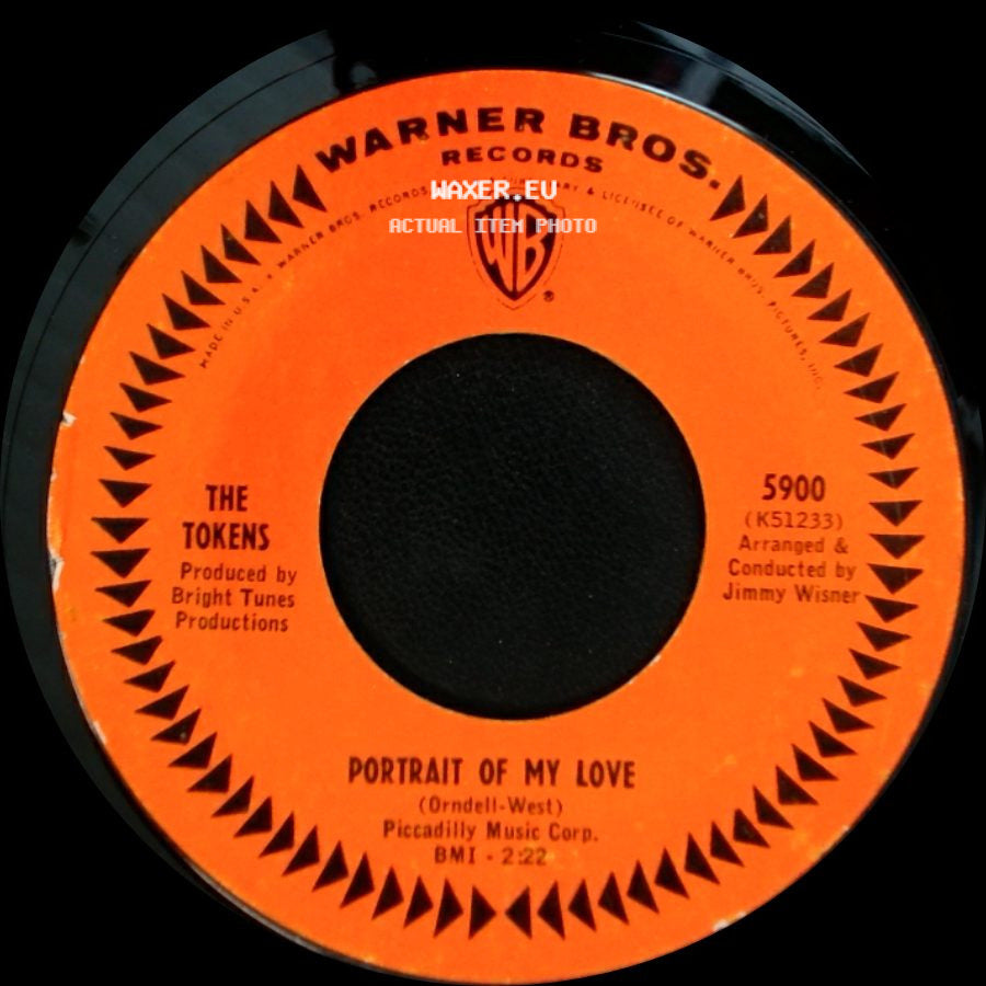The Tokens - She Comes And Goes / Portrait Of My Love side B