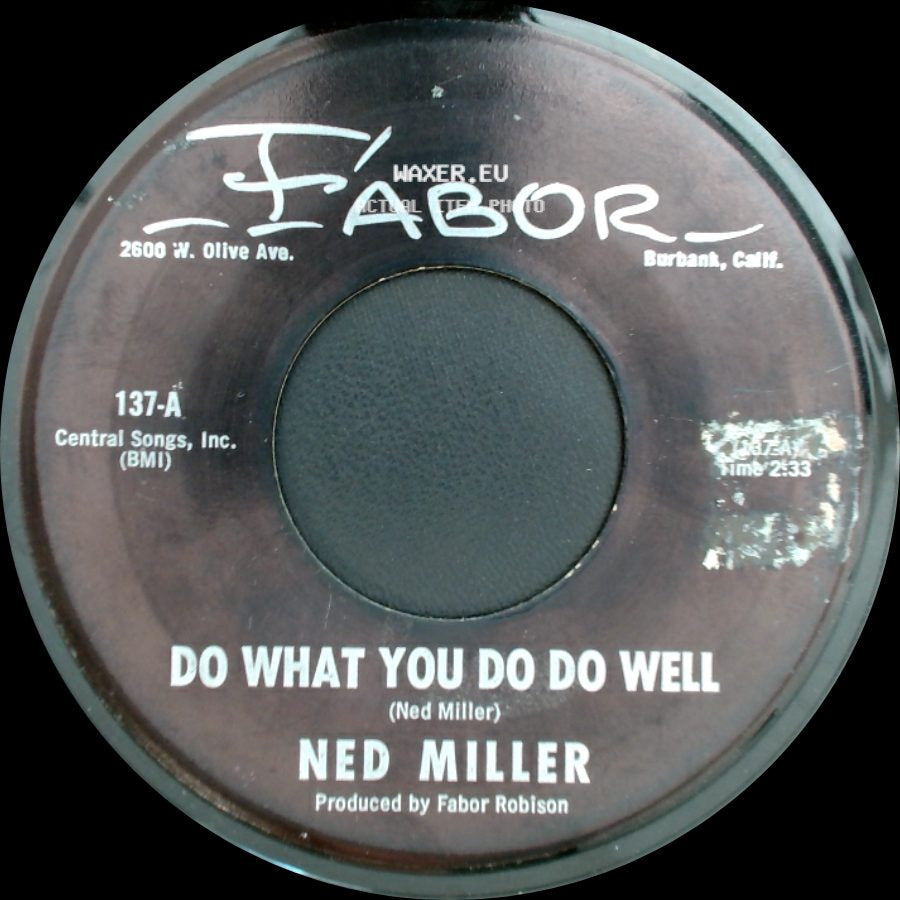 Ned Miller - Dusty Guitar / Do What You Do Do Well side B